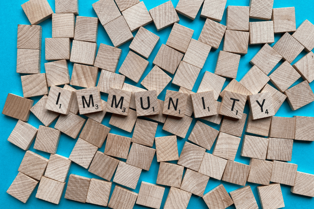 Praktische Tipps für ein starkes Immunsystem - Blog Antje Krista