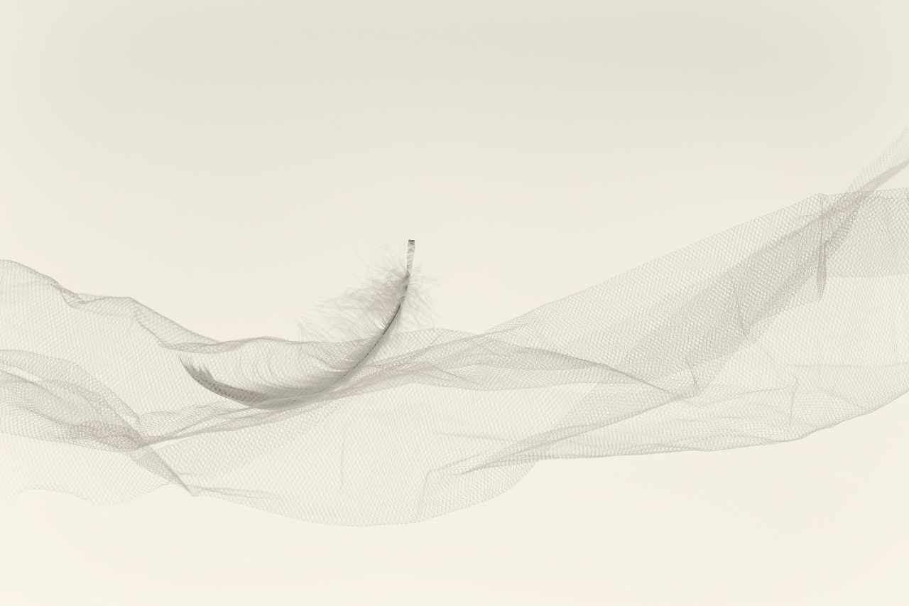 Masterkurs Chelattherapie: Chelattherapie zur Schwermetallentgiftung